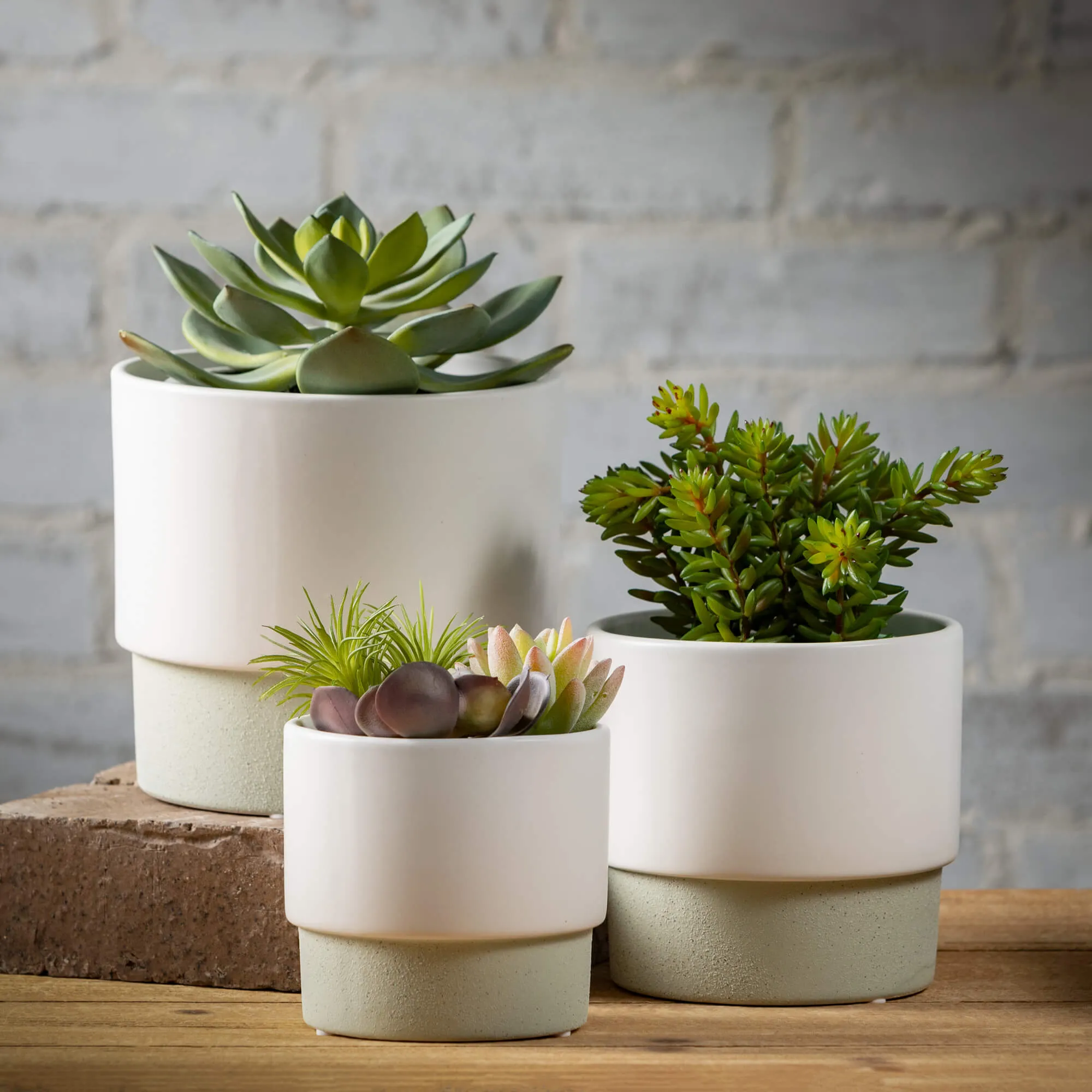 Ceramic Rimmed Two-Toned Pots