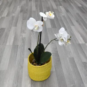 Kenyan Basket - Yellow Sisal Basket 011