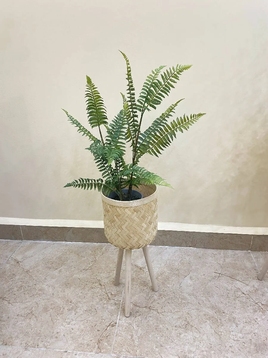Massa Flowers Rattan Baskets With Base In Three Sizes